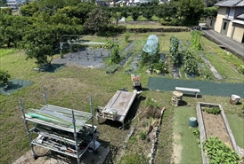 防草シート施工後（通路・果樹周り）