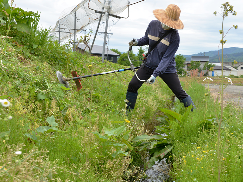 法面での雑草管理