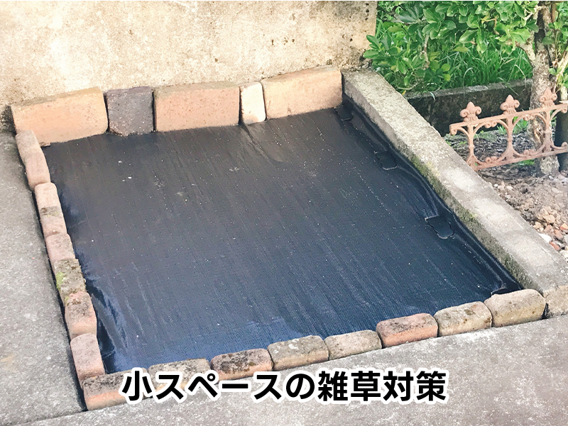 小スペースの雑草対策