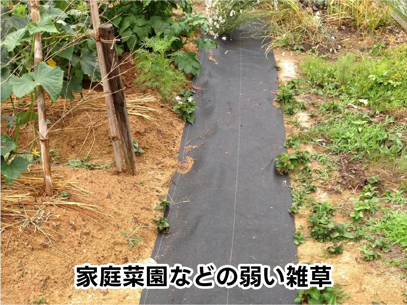 家庭菜園などの弱い雑草