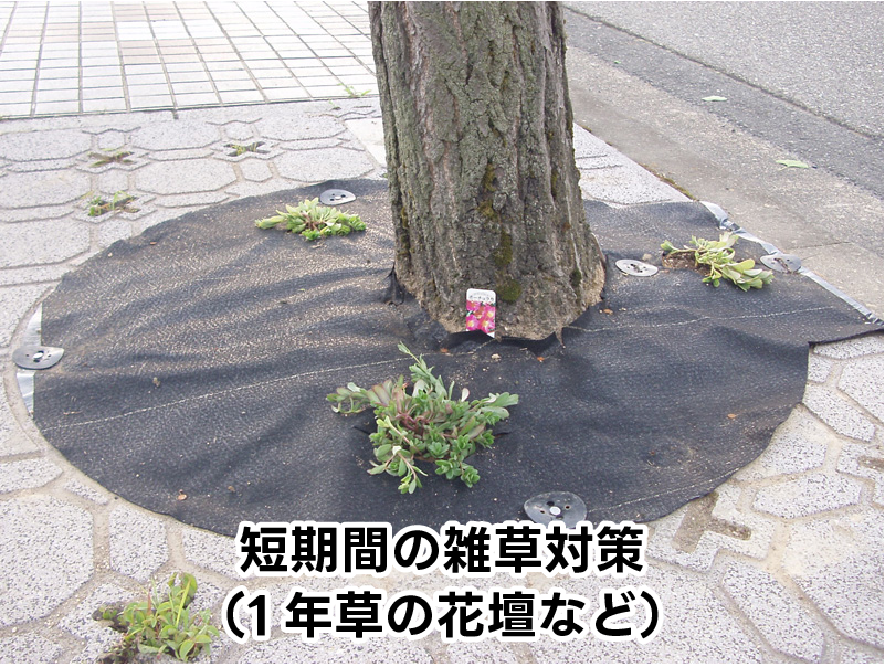 短期間の雑草対策