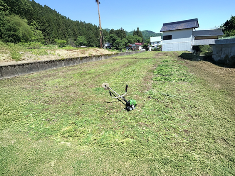 広い土地の雑草対策