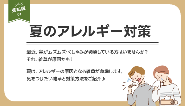 夏のアレルギー対策
