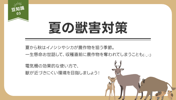 夏の獣害対策