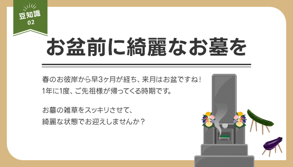 お盆前に綺麗なお墓を