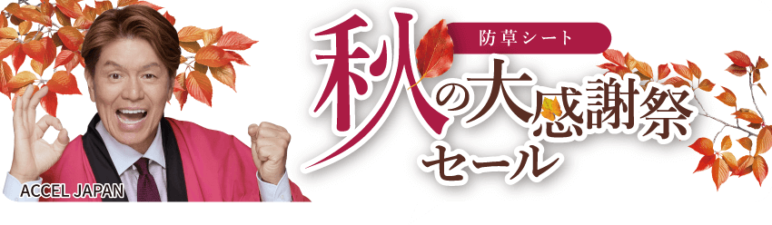 タイトルバナーpc