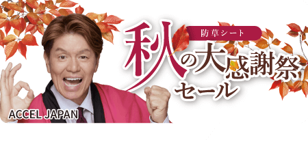 タイトルバナーsp