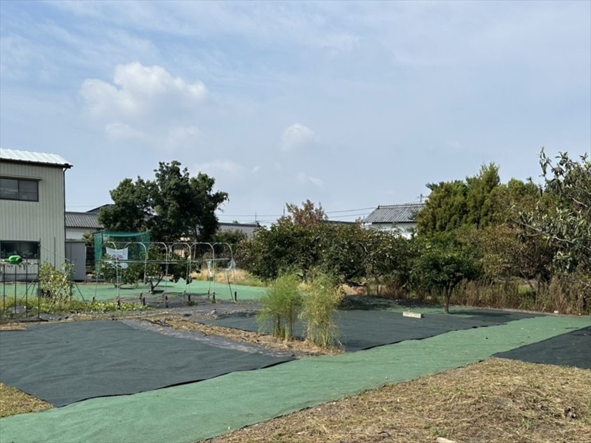 【イシパ様】畑・家庭菜園の雑草対策事例3
