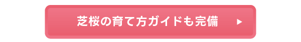 芝桜の育て方ガイドも完備