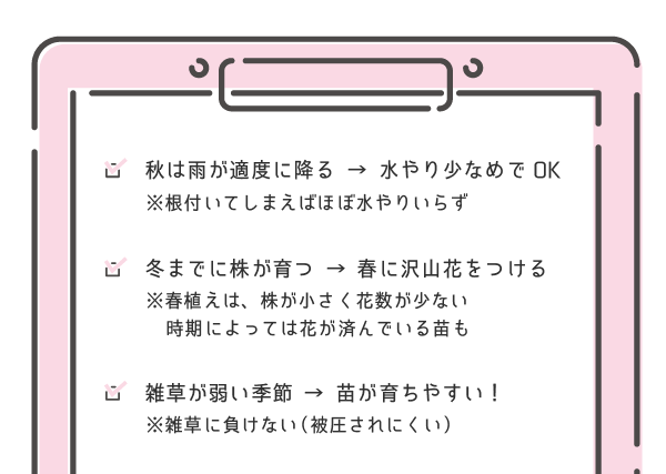 秋は花の植え付けに最高の時期