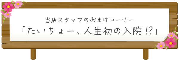 おまけコーナー