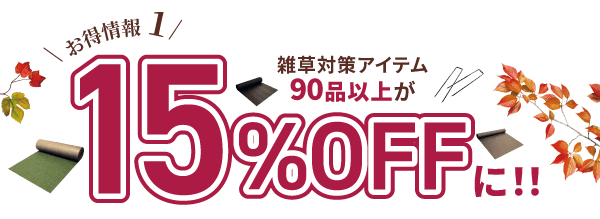 お得情報１