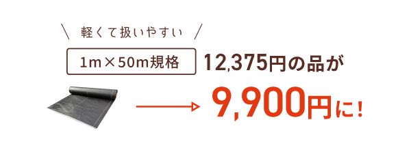 50m規格