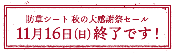 大感謝祭セール終了です