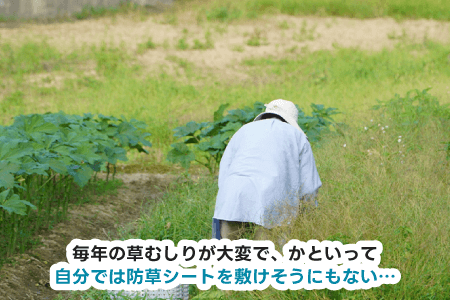 毎年の草むしりが大変で、かといって自分では防草シートを敷けそうにもない