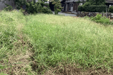 畑の雑草対策事例2 施工前