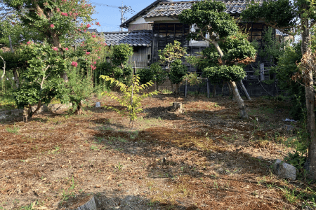 お庭の雑草対策事例 施工前