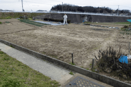 畑の雑草対策事例 施工前