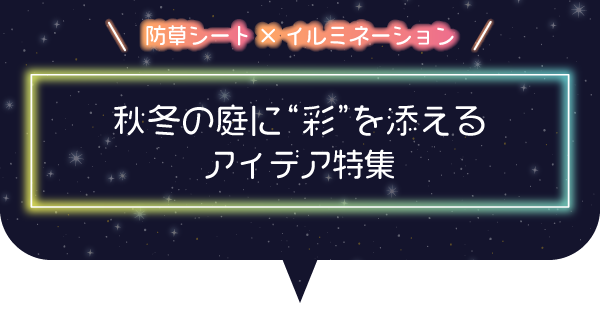 秋冬の庭に彩を添えるアイデア特集