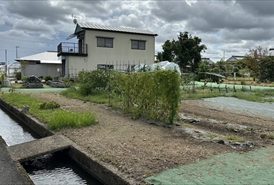 防草シート施工前