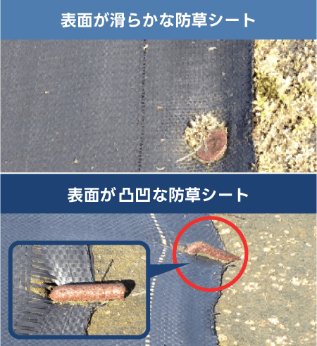 表面の滑らかさを見ましょう