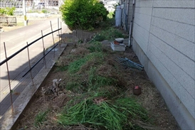 防草シート施工前