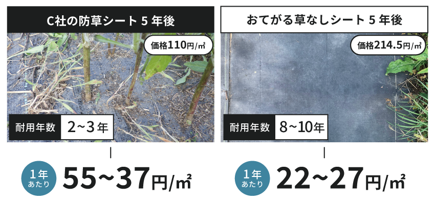 コストパフォーマンス