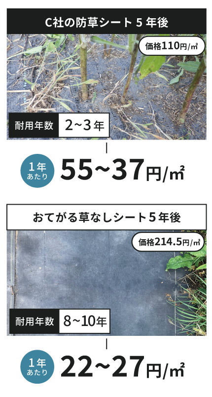 コストパフォーマンス