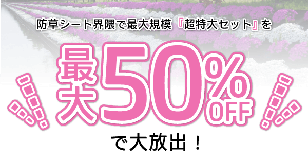 最大50%OFFで大放出