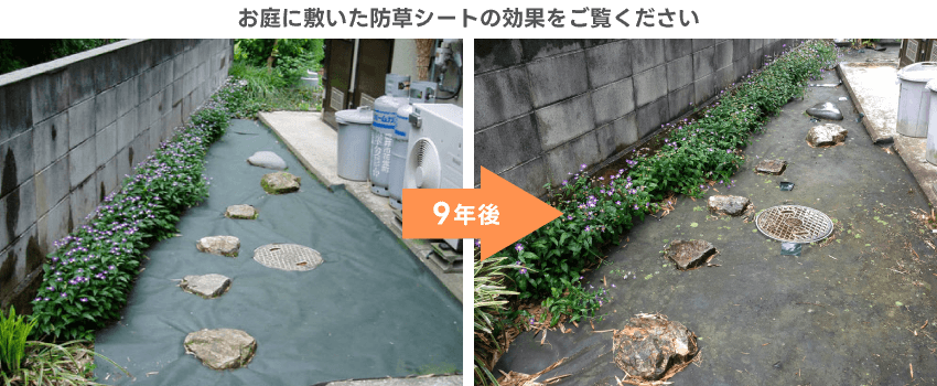 お庭に敷いた防草シートの効果
