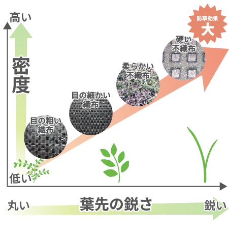葉先の鋭さと密度