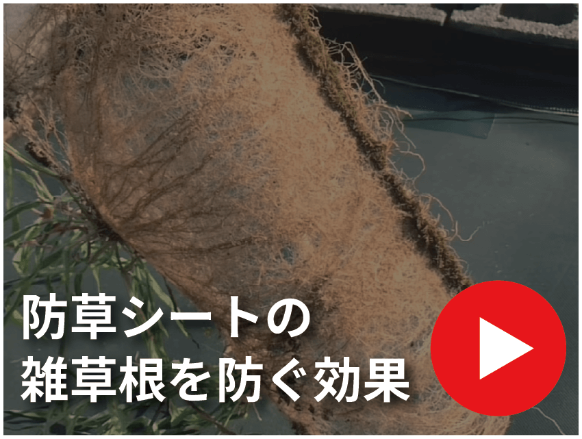 防草シートの雑草根を防ぐ効果