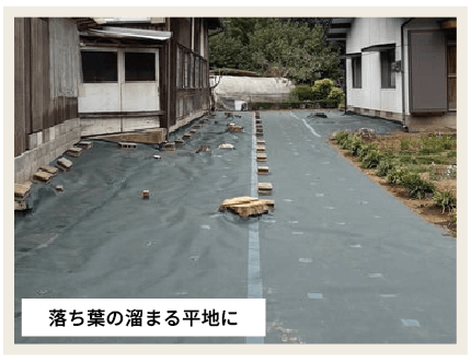 落ち葉の溜まる平地に