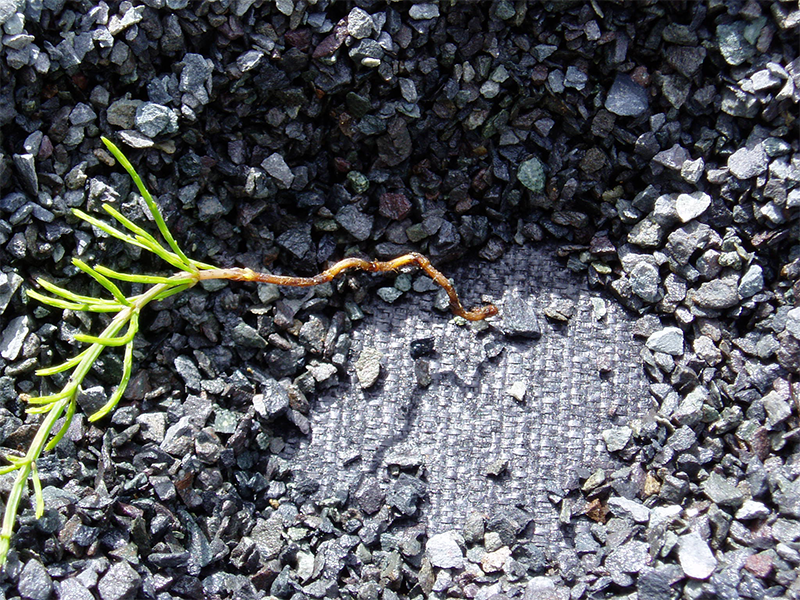 突き抜けてきた1