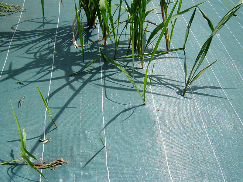 突き抜けてきた2