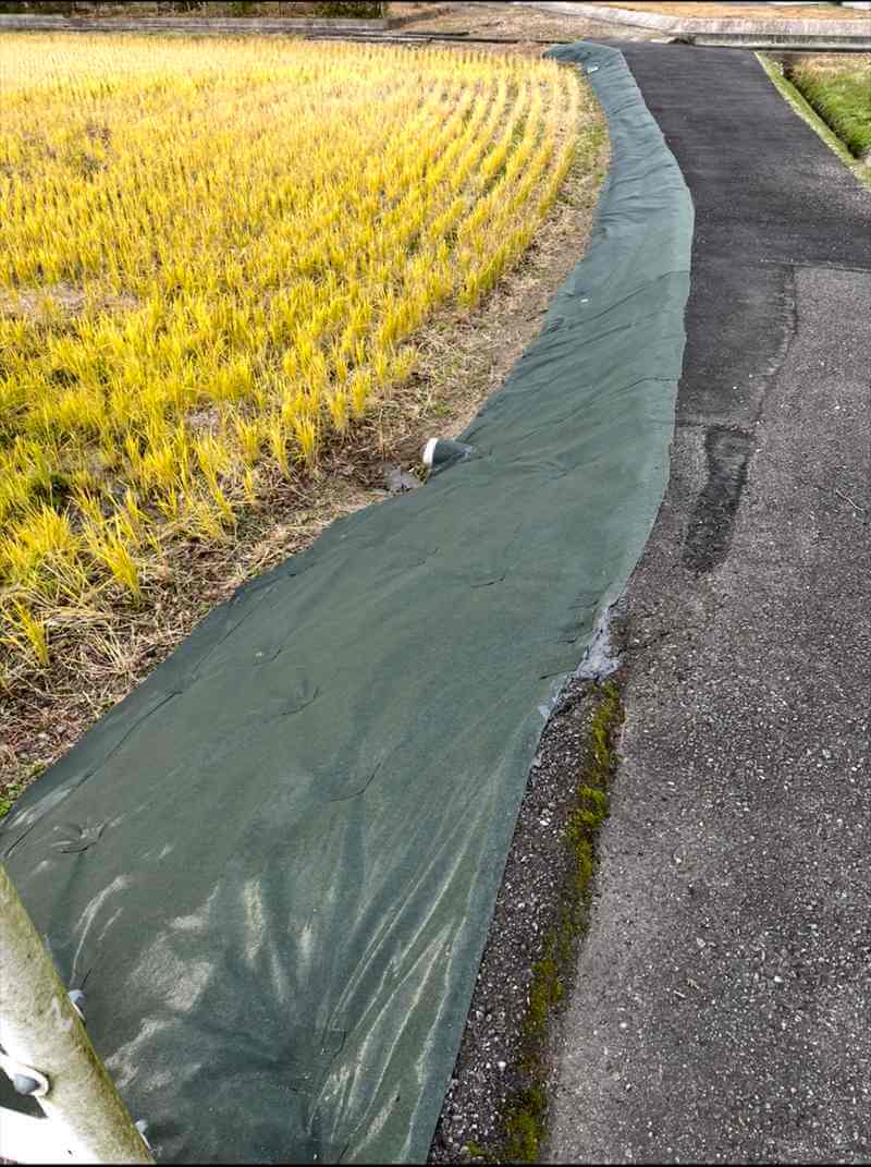 農地(畦畔)の雑草対策事例