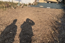 防草シート施工前