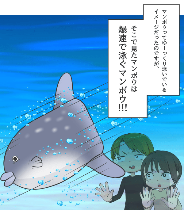 爆速で泳ぐマンボウ
