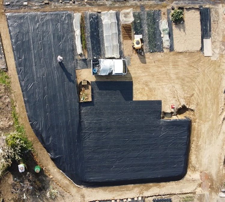 畑の雑草対策（全景）