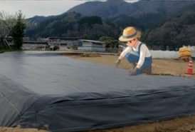 防草シート施工中