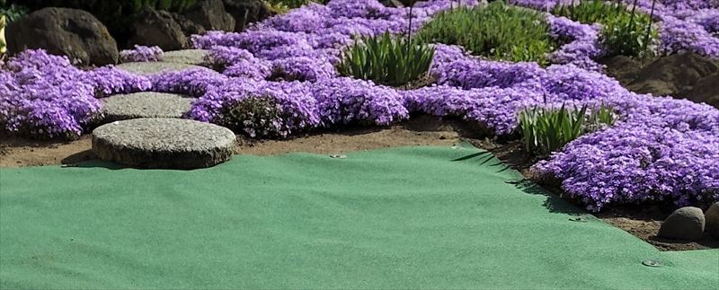 【aipapy様】お庭の雑草対策事例