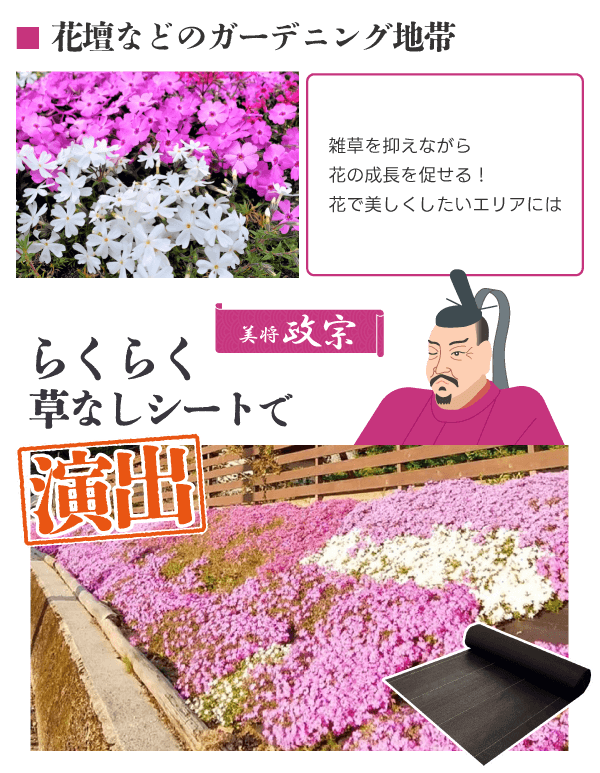 美将:政宗【らくらく草なしシート】で演出