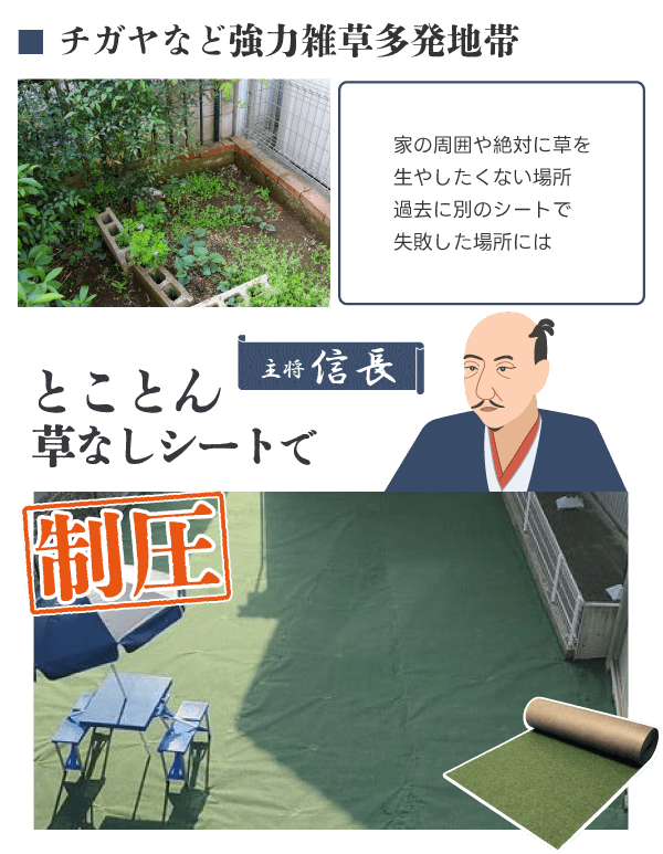 主将:信長【とことん草なしシート】で制圧