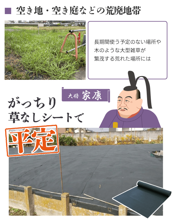 大将:家康【がっちり草なしシート】で平定