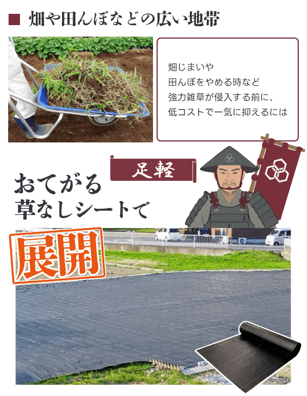 足軽【おてがる草なしシート】で展開!