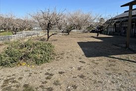 防草シート施工前