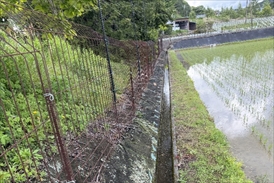 雑草対策事例2