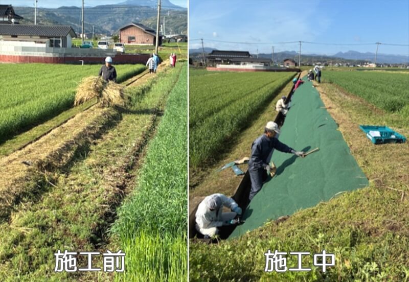【かつクン様】畦畔の雑草対策事例