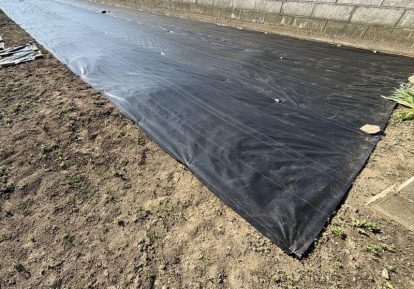 空き地の雑草対策事例