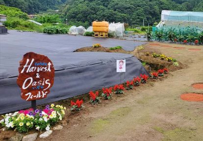 農地の防草シート事例（畑）